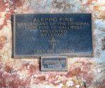 Lone Pine Memorial : 21-July-2012
