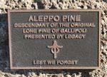 Lone Pine Memorial : 10-August-2012