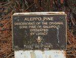 Lone Pine Memorial Plaque  : 13-October-2012