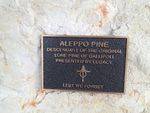 Lone Pine Plaque Inscription : 19-09-2013