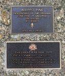 Lone Pine Memorial : 13-April-2013