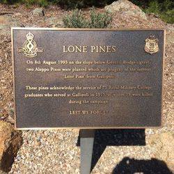 Lone Pine Plaque: 19-February-2016
