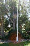 Airforce Assn Plaque & Flagpole : 11-03-2014
