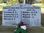 Teesdale War Memorial : 24-November-2011