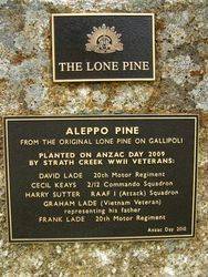 Lone Pine Plaque : 08-December-2013