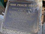 Peace Tree Plaque Inscription : 02-August-2014