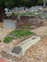 Dobney Grave : 26-February-2015